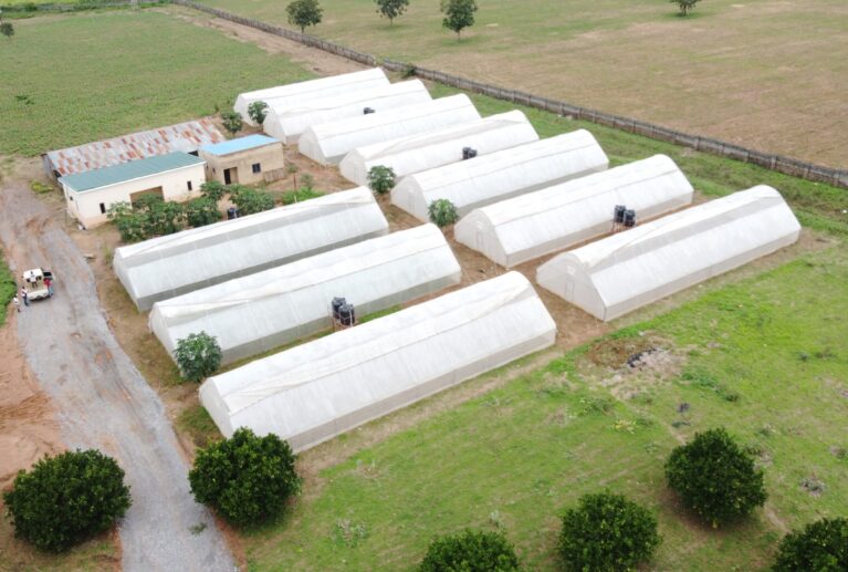 Nutrition starts with what animals eat. Our feedmill produces balanced, high-quality feeds that power growth and performance.